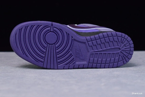 BV1310-555 Concepts Dunk Low SB Lobster Purple Nike 1008
